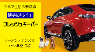 雨が降れば、まるで洗車をしたようにキレイに