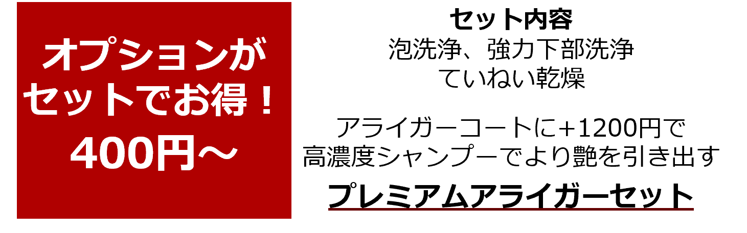 洗車機_ノーブラシオプションセット